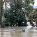 BESANCON: 2018.01.07 Innondation du Doubs due à la tempète Eleanor31