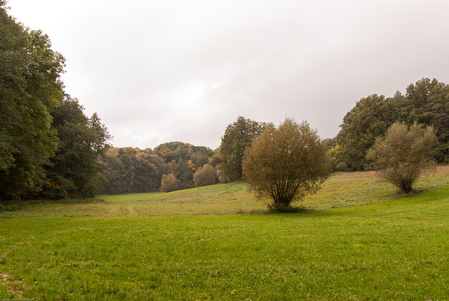 Herbst bei Oberpreuschwitz