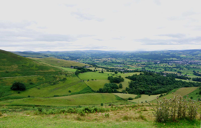 From a walk on Moel Famau8