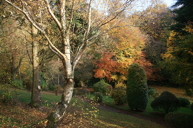 Autumn Colours At Vindolanda