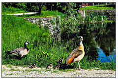 Großfamilie