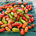 Letzte Tomatenernte