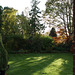 Fulbourn garden 2010-11-15 016