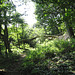 Woodland south of Seedgreen Park Pools