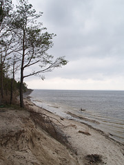 На берегу Киевского моря