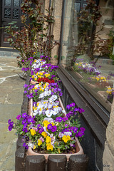 Early May Garden colours