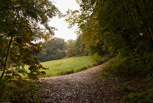 Herbst bei Oberpreuschwitz