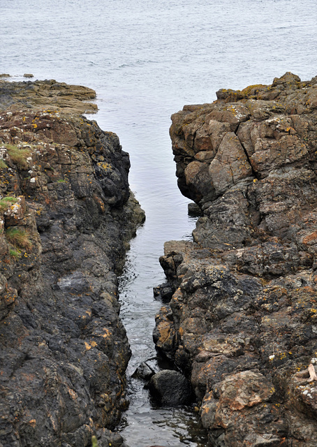 Scotland / Aberlady PiP