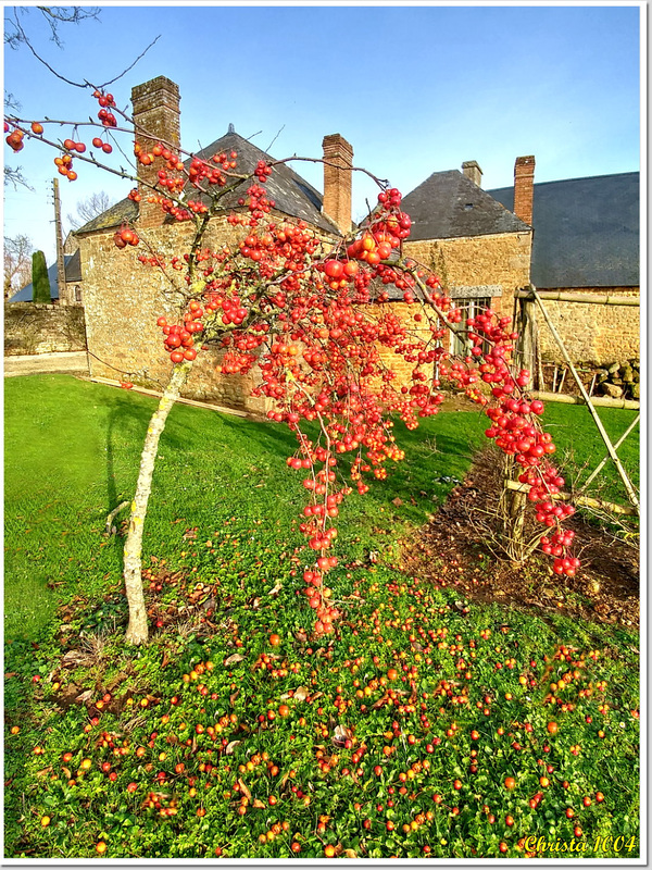 Tache de couleur hivernale