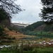 West side inlet of Derwent Reservoir