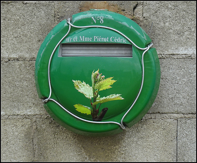 boîte à lettres