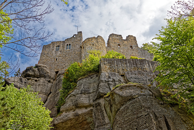 Burg- und Klosterruine auf dem Berg Oybin