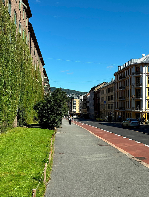 hanshaugen-01