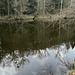 reflets !!!
