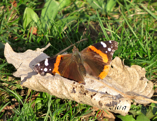 Posing for me