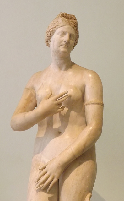 Detail of the Capitoline-type Aphrodite with a Portrait Head in the Naples Archaeology Museum, July 2012