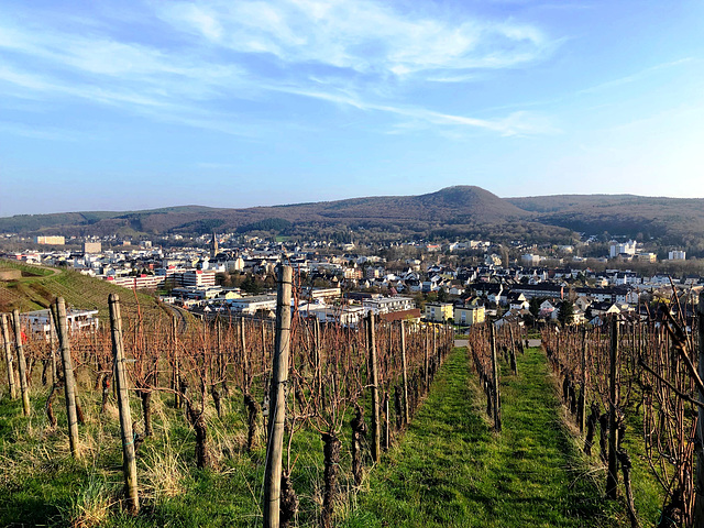 Spaziergang durch die Weinberge