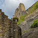 Burg- und Klosterruine auf dem Berg Oybin