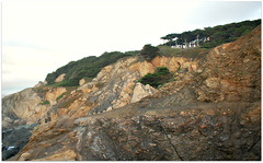 Land at Land's End, San Francisco