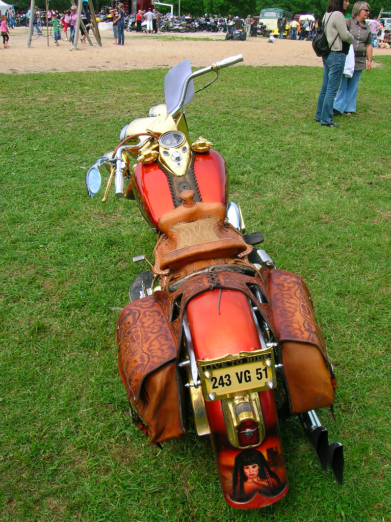 harley cowboy (003)