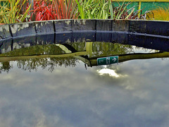 Landscape In A Rainwater Barrel