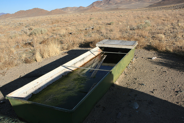 Water trough