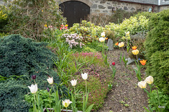 Early May Garden colours