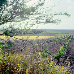 On the way to Jerusalem.