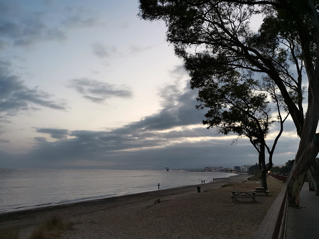 Marbella (Málaga) Costa del Sol