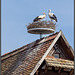 Storchennest im Ort