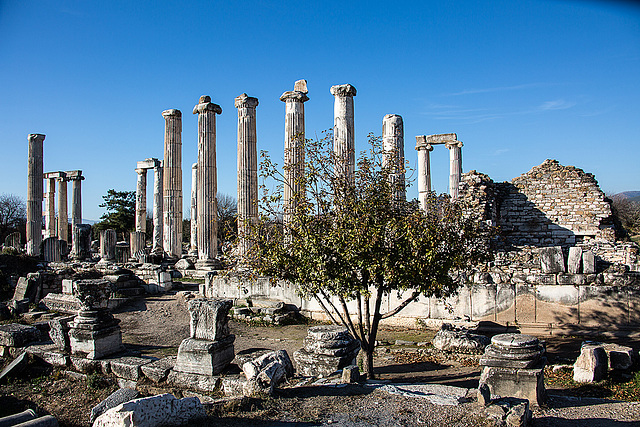 20151205 9629VRAw [R~TR] Aphrodisias