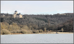 Environs de Crémieu (38) Château de Saint-Julien et étang de Ry. 13 février 2017