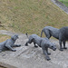 Tower of London, Sculptures of Predators in the Castle Moat