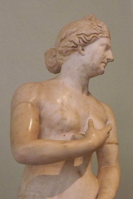 Detail of the Capitoline-type Aphrodite with a Portrait Head in the Naples Archaeology Museum, July 2012