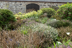 Early May Garden colours