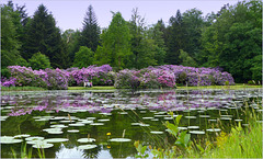 Gardens of Castle 'Het Oude Loo'...