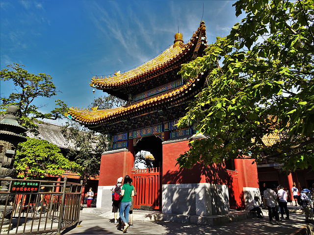 Lama Temple_12