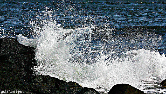 West Quoddy Rocks & Surf (1)