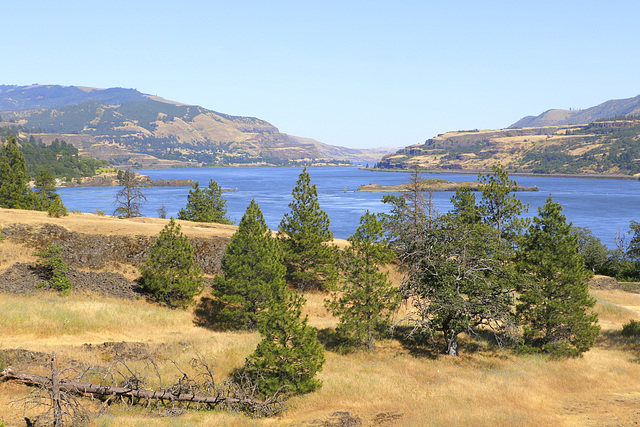 Catherine Creek Natural Area