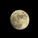 Moon 22-10-16