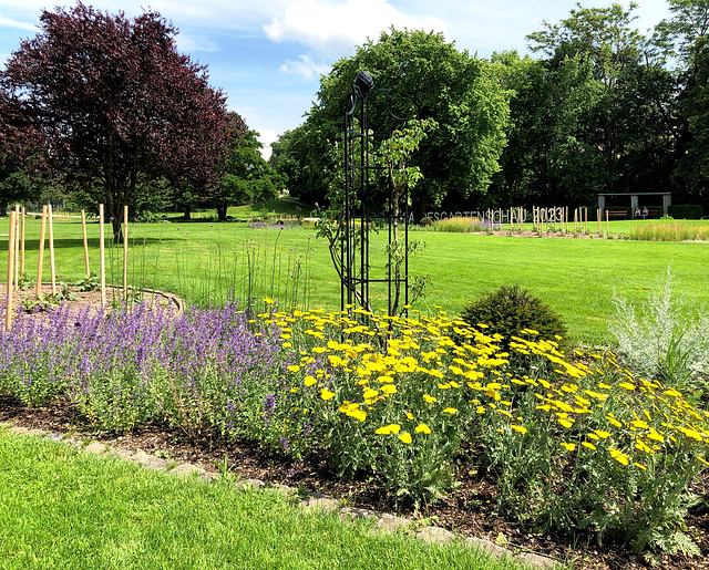 Sommer im Dahliengarten