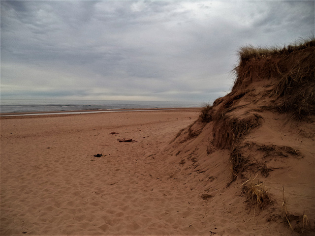 Plage princière / Princely beach