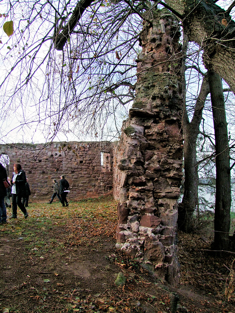 HWW mit der Stadtmauer von Kelbra