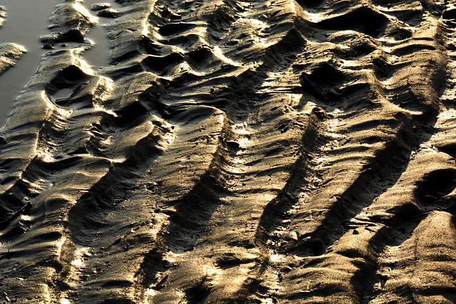 Low sun, shadowed sand