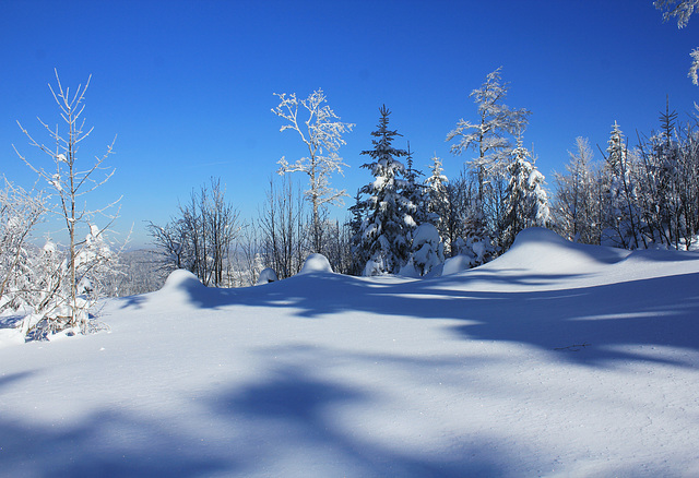 Winterlandschaft
