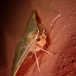 RIMG25502-liceq-scharf RIMG25502-liceq-scharf