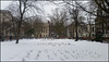 snow in Queen Square garden
