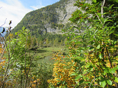 Seewiese bei Altaussee im steirischen Salzkammergut