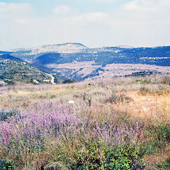 On the way to Jerusalem with a PIP