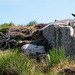 20220817- DSC8868